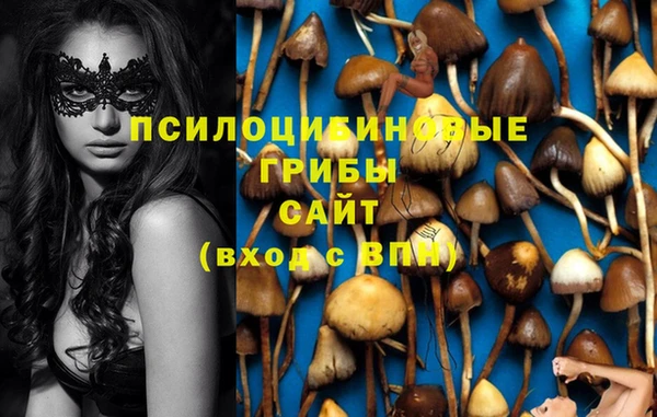 винт Балахна