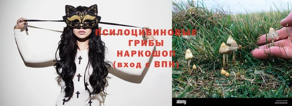 гидропоника Балабаново