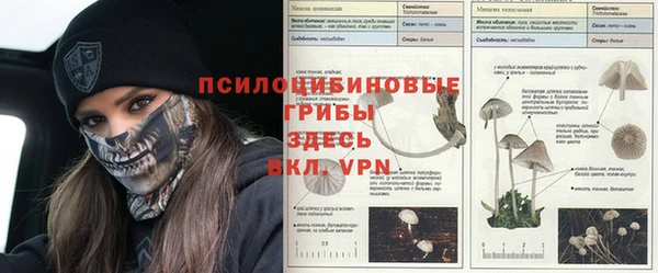 винт Балахна