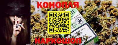 индика Чебаркуль