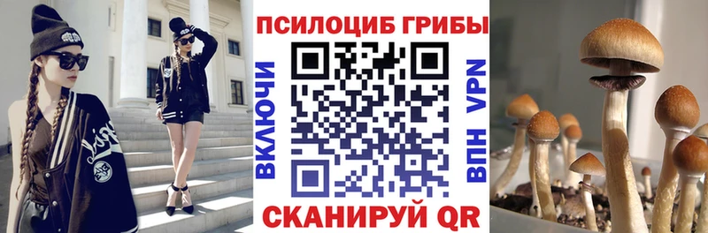 omg зеркало  Рыбинск  Псилоцибиновые грибы Psilocybine cubensis 