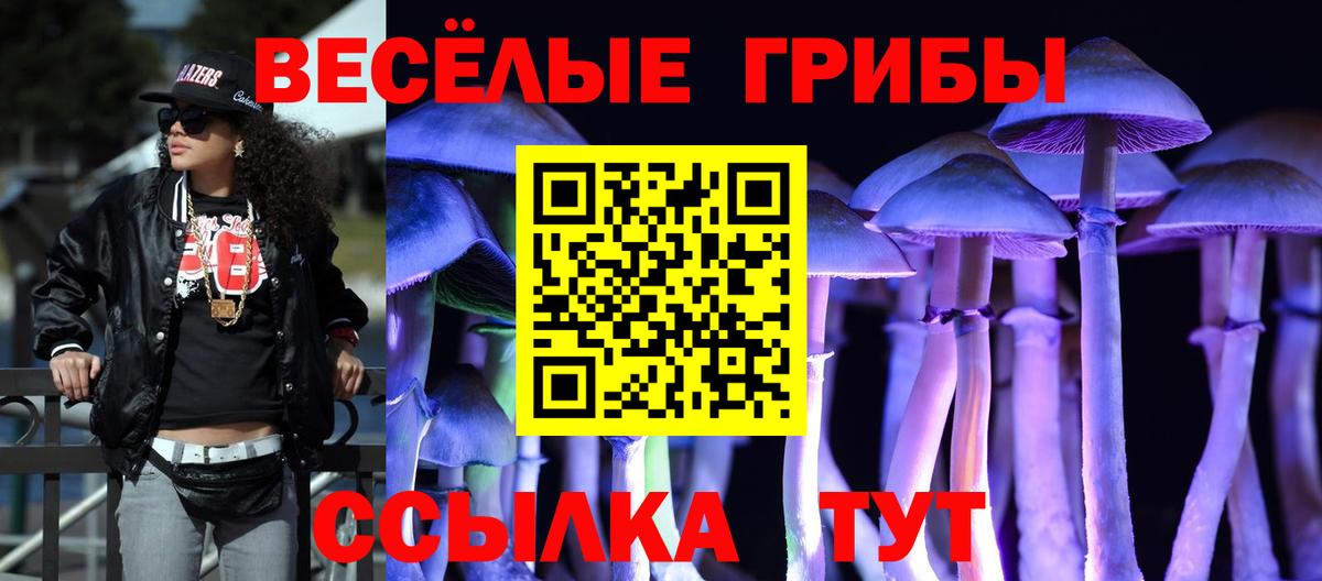 Псилоцибиновые грибы Psilocybe  Псилоцибиновые грибы прущие грибы  Рыбинск  Вход с VPN 