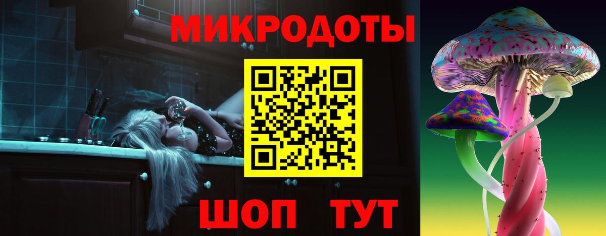 Галлюциногенные грибы Psilocybine cubensis Рыбинск